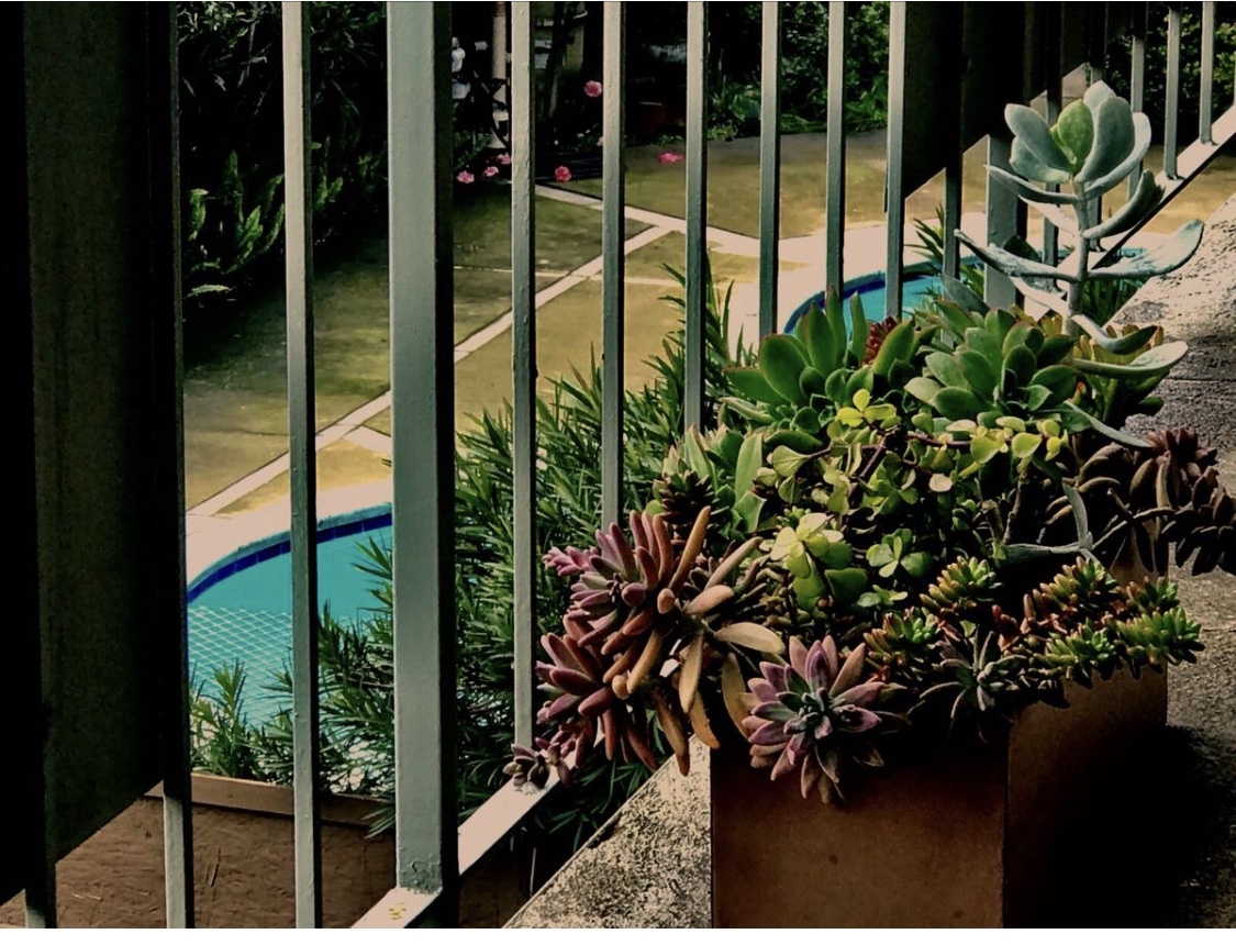 Sacramento Apartment: 2215 9th Street