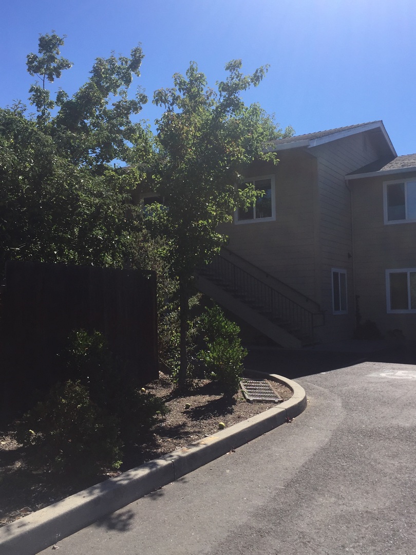 Medford Apartment: 238 Berrydale Avenue