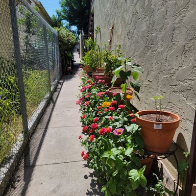 Charming 2-Bedroom Apartment in North Park – photo 1