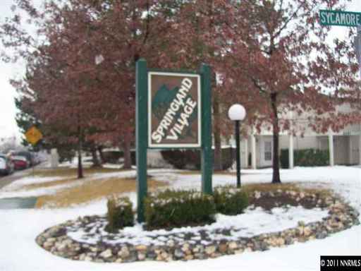 Springland Village Condo – photo 1