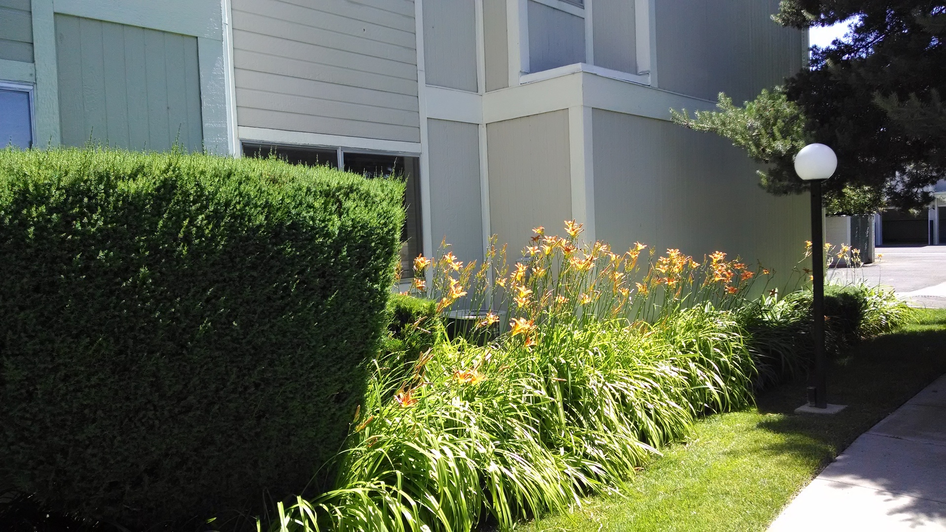 Sparks House: 2577 SYCAMORE GLEN DR #2