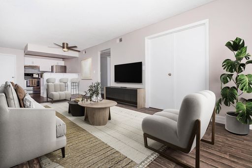 B1 Reno – photo 1