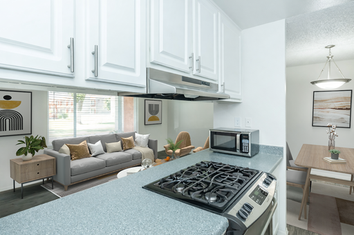 1 Bed 1 Bath Apartment Home – photo 1