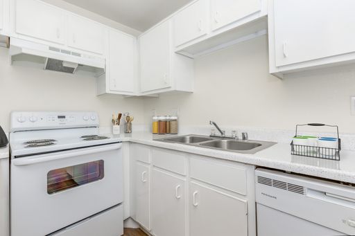 Beautiful Spacious 1x1