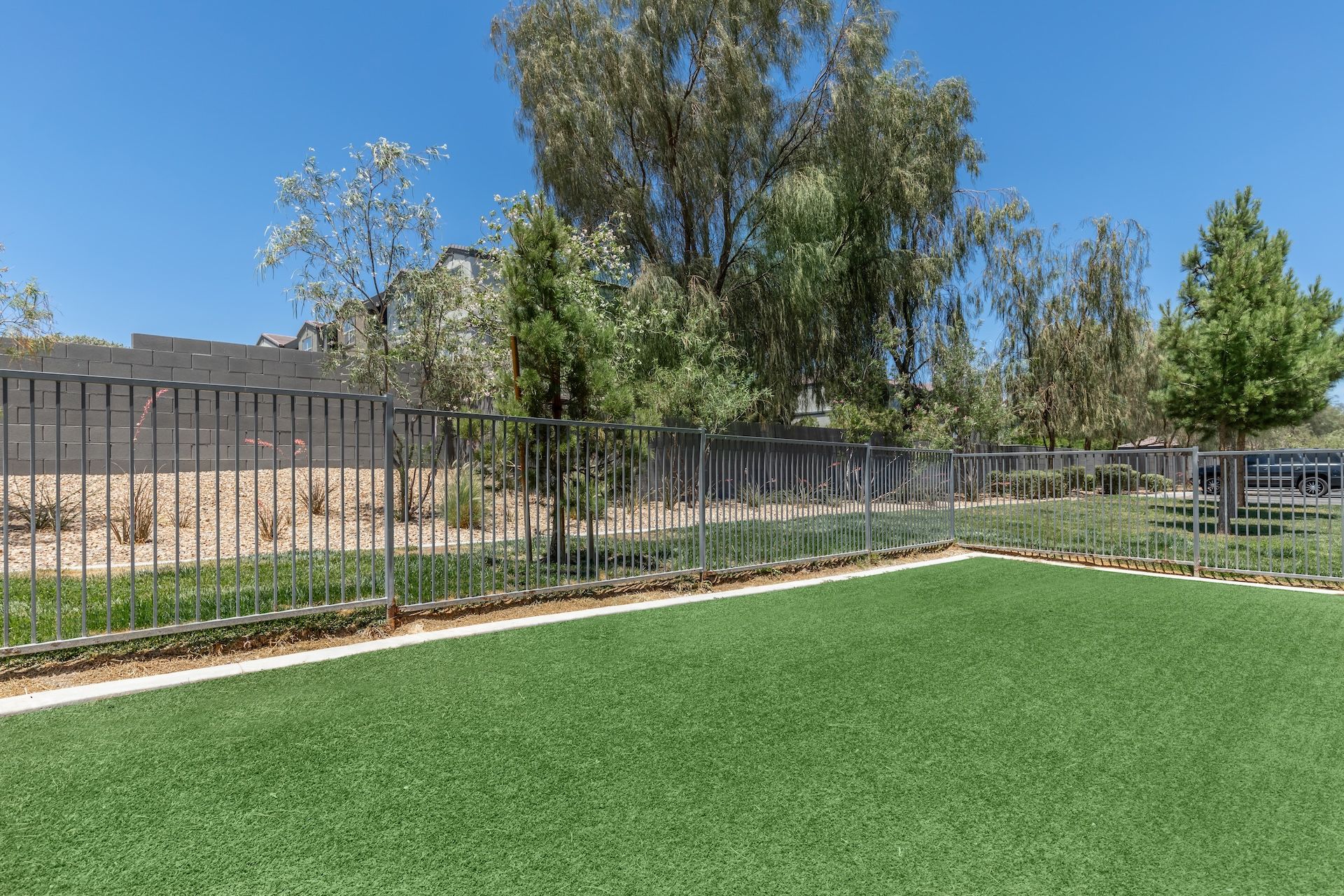 Dog park at The Wyatt