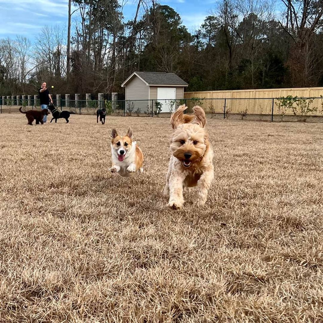 Florence Apartment: 3011 Pisgah Road