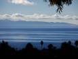 Santa Barbara Apartment: 515 Red Rose Lane