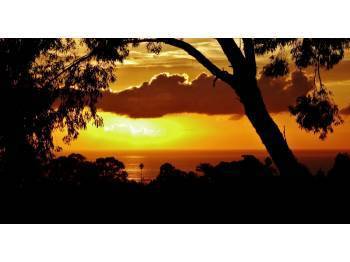 Santa Barbara Apartment: 515 Red Rose Lane