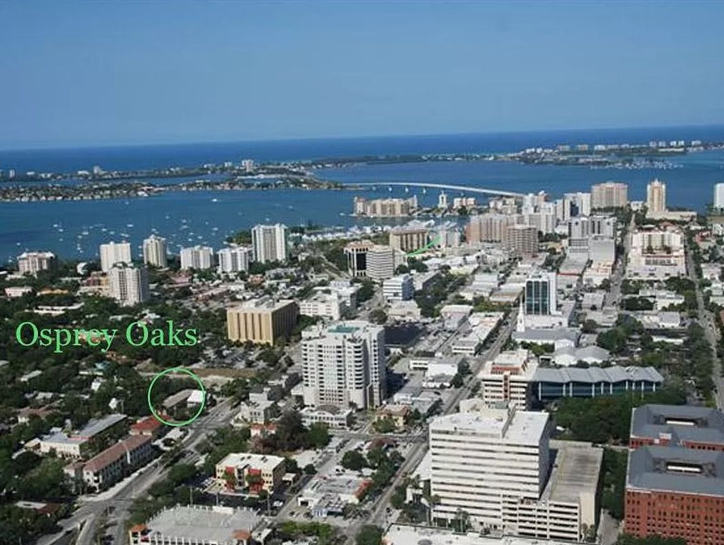 Sarasota Condo: 222 S Osprey Ave Unit 105
