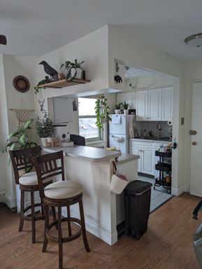 130 Bowdoin Street , 1308, Boston, MA 02108