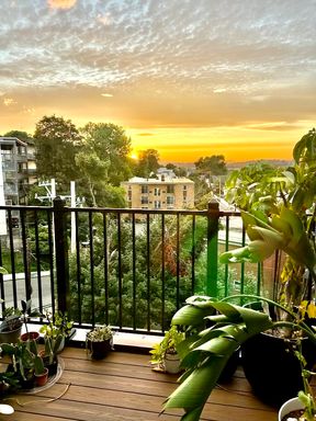 11 Walley Street, 409, East Boston, MA 02128