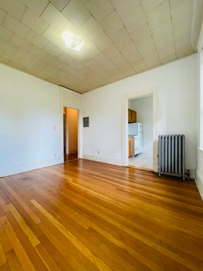 14 Palace Rd, 14P-15, Boston, MA 02115