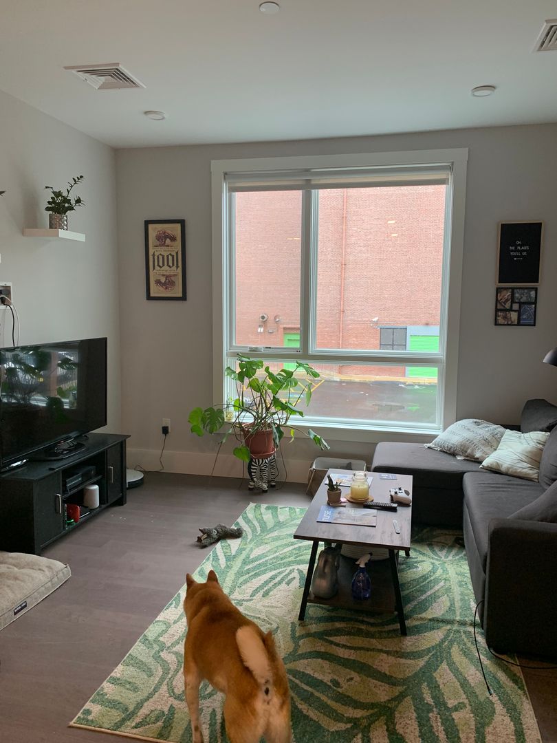 Photo for 3193 Washington Street, 206<br>Boston, MA 02130, USA