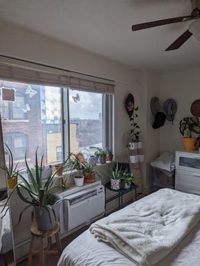 130 Bowdoin Street , 1308, Boston, MA 02108