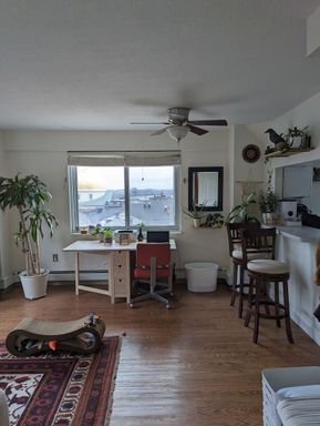 130 Bowdoin Street , 1308, Boston, MA 02108