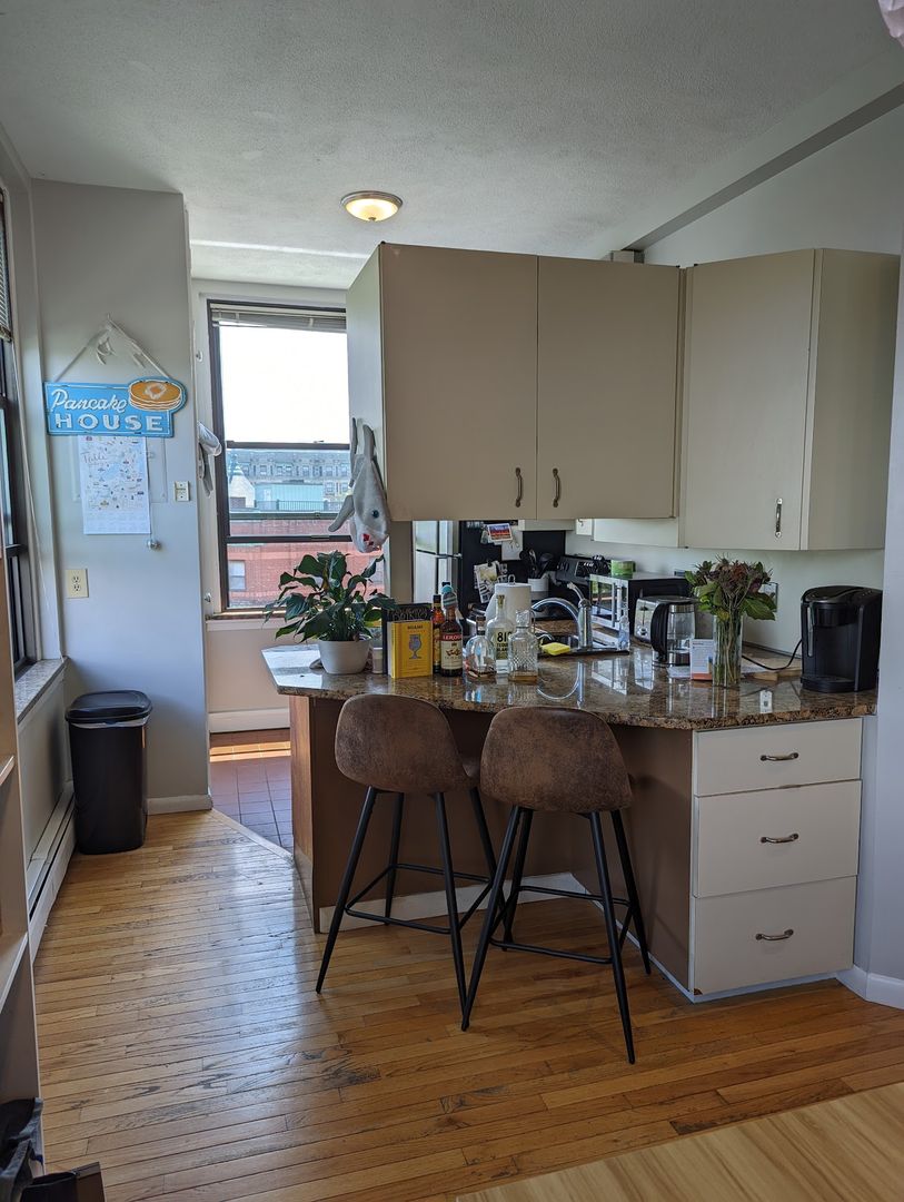 60 Charlesgate West - 5B Boston MA 02115 - Photo 4