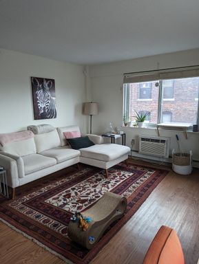130 Bowdoin Street , 1308, Boston, MA 02108