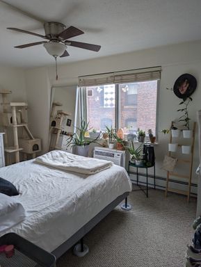 130 Bowdoin Street , 1308, Boston, MA 02108