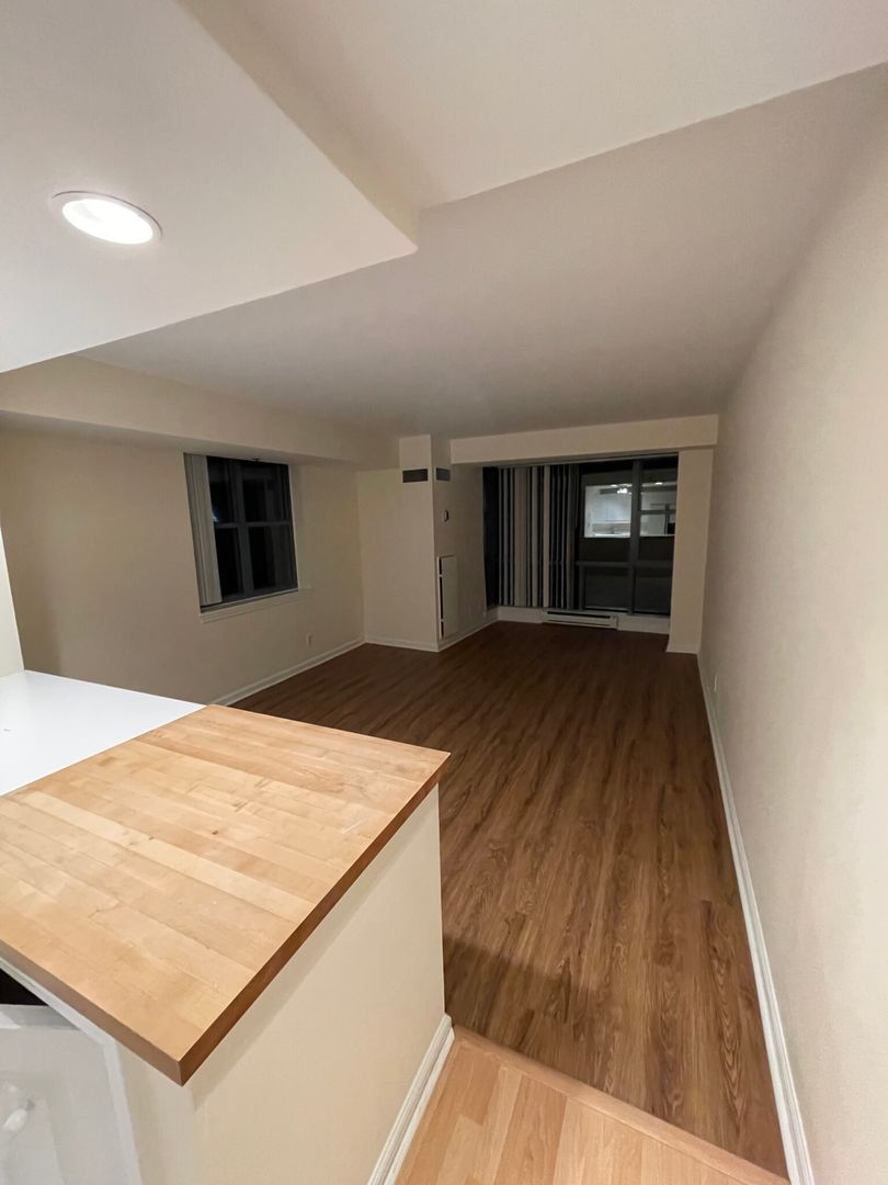 R- 170 Tremont Street #1206 Boston MA 02111 - Photo 8