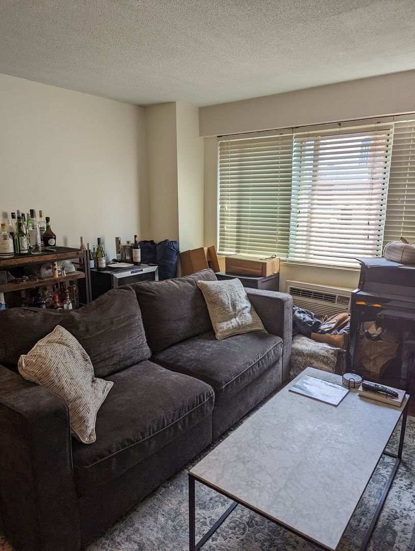 130 Bowdoin Street #1206 Boston MA 02108 - Photo 4