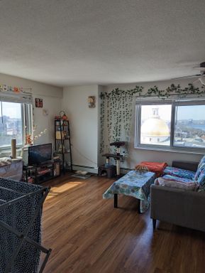 130 Bowdoin Street, 1608, Boston, MA 02108