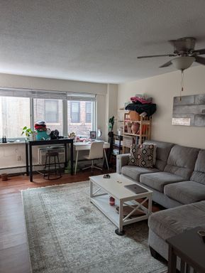 130 Bowdoin Street, 505, Boston, MA 02108