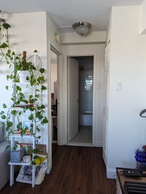 130 Bowdoin Street , 1501, Boston, MA 02108