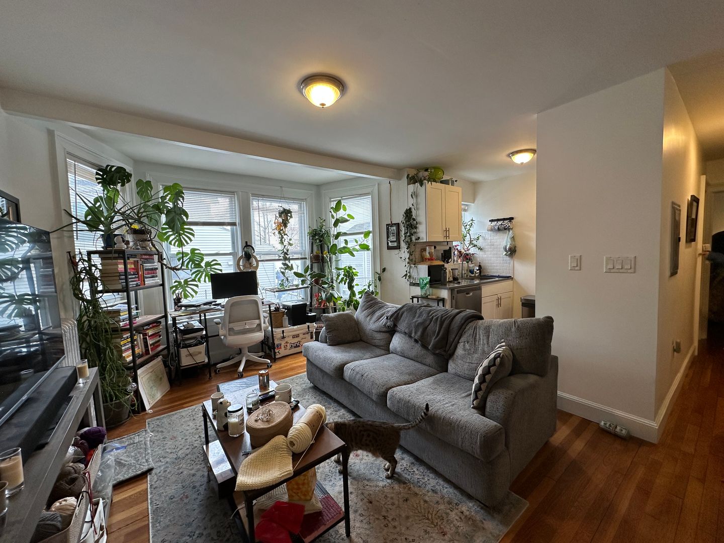 Malden Apartment: 101-109 Summer St.