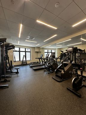 70 Leo Birmingham Parkway , #311, Brighton, MA 02135