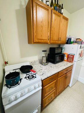 14 Palace Rd, 14P-11, Boston, MA 02115