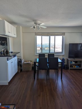 130 Bowdoin Street , 1501, Boston, MA 02108