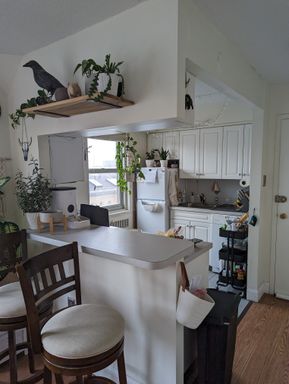 130 Bowdoin Street , 1308, Boston, MA 02108