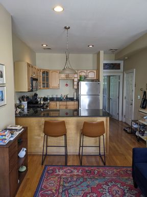 796 Tremont Street,  #2, Boston, MA 02118