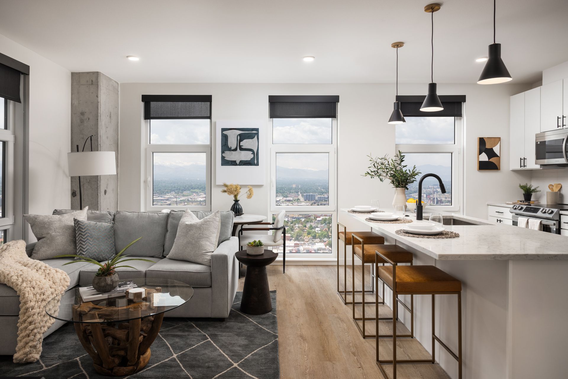 Denver Apartment: 955 N Bannock Street