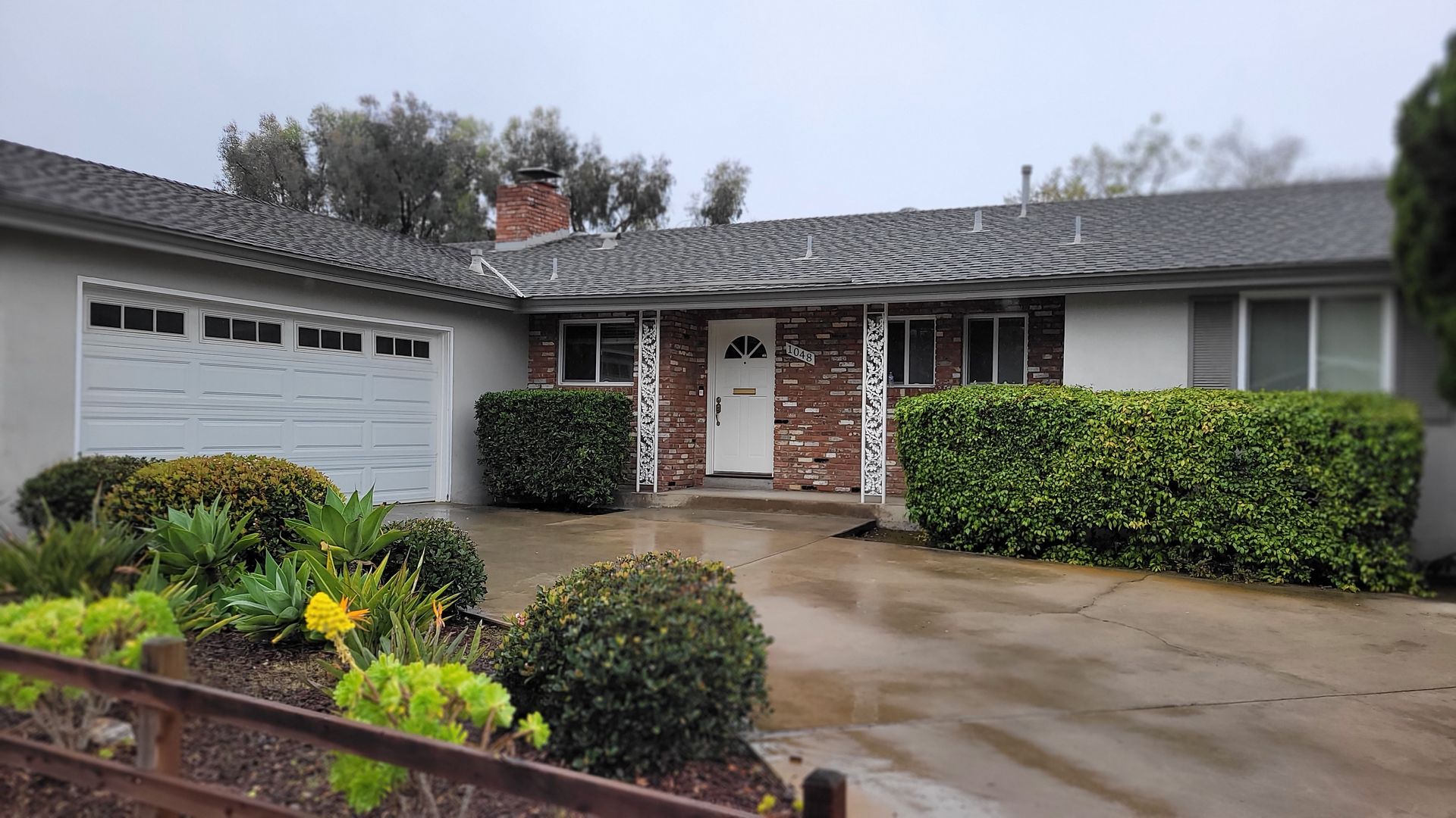 San Diego House: 1048 Albion Street