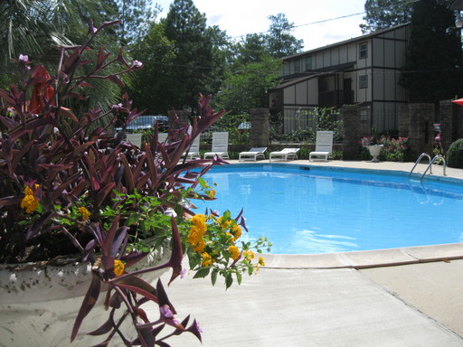 Unique Townhouse Overlooking Cooper Creek Park – photo 1