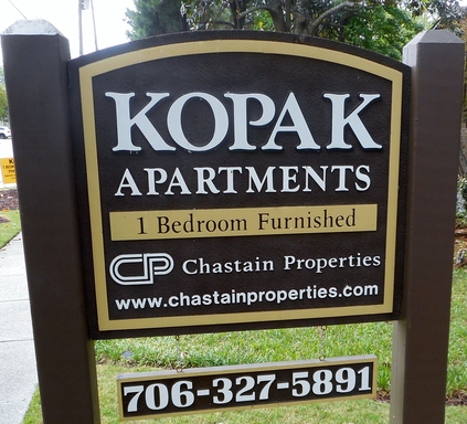 Furnished Apartment - Midtown Columbus – photo 1
