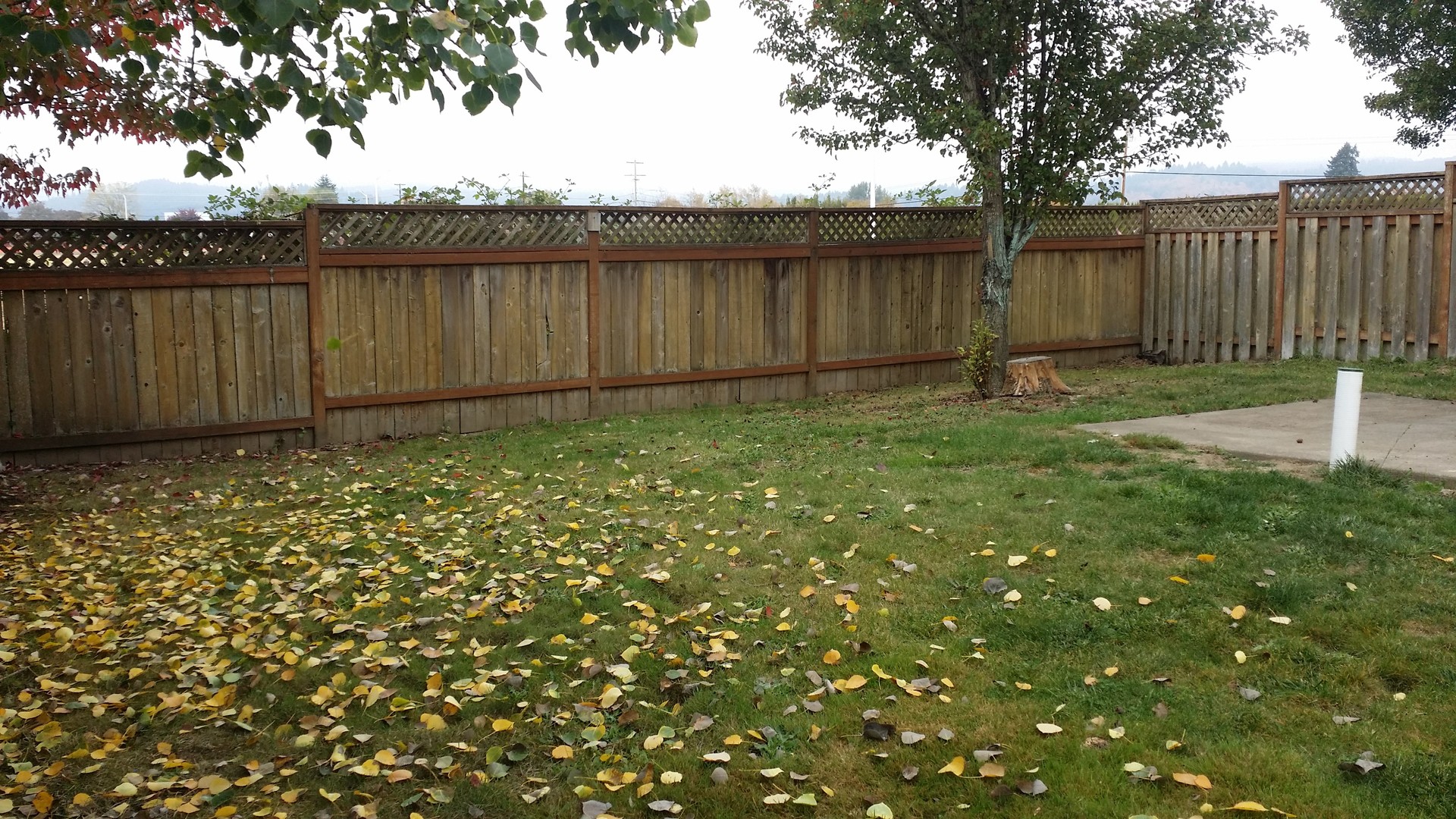 McMinnville Apartment: 2391 - 2395 NW Haun Dr.