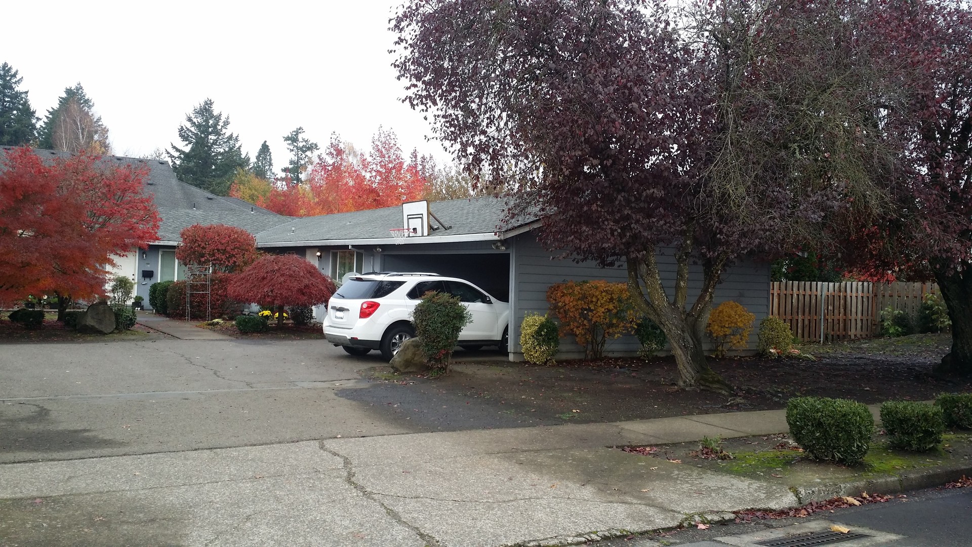 Newberg Apartment: 619 - 621 S. Blaine St.