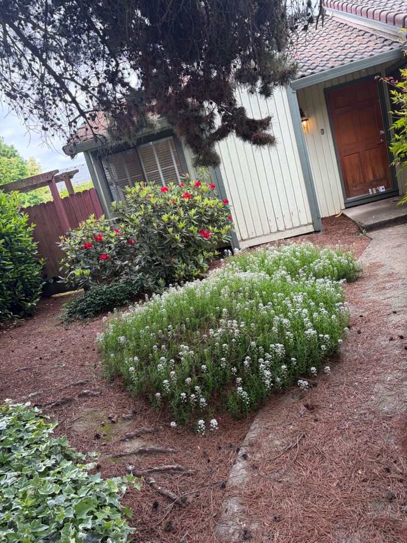 Newberg House: 501 Mountainview Ct