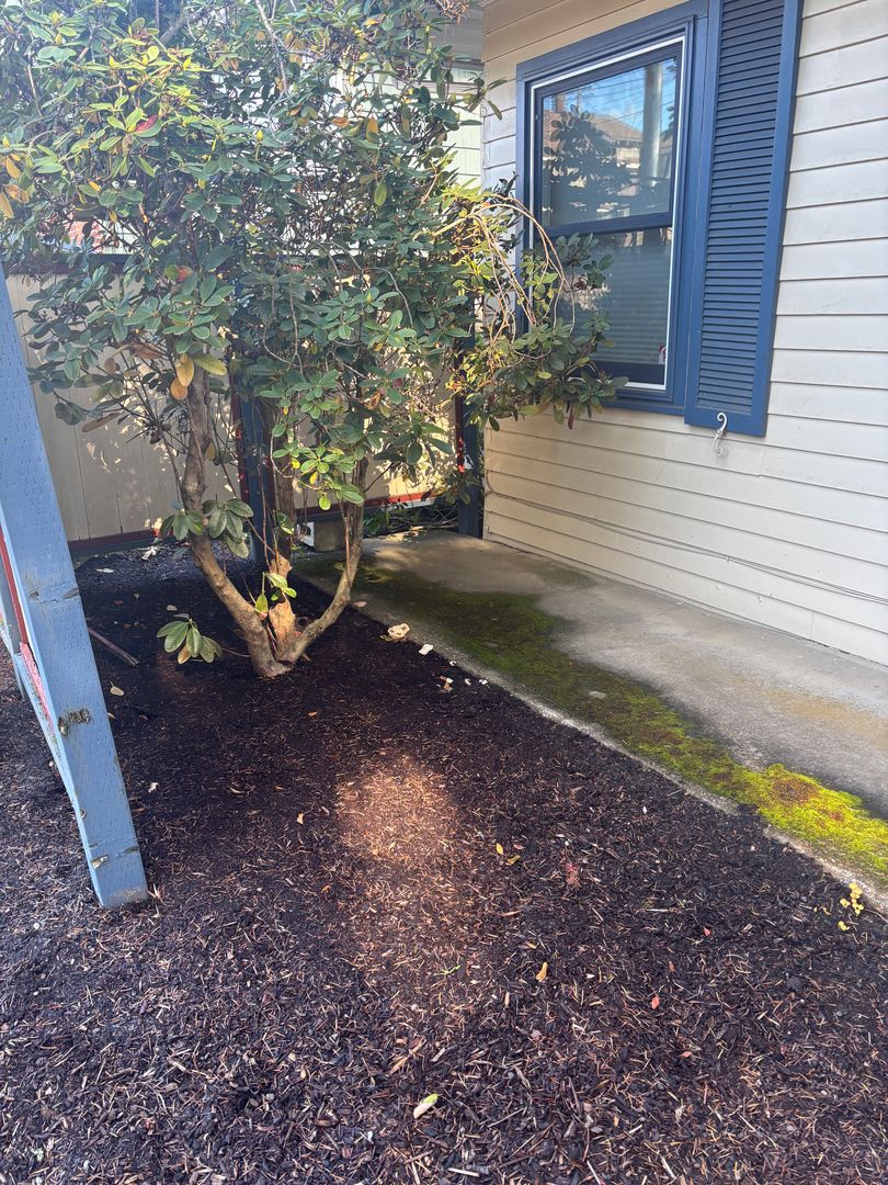 McMinnville House: 222 SE Ford St