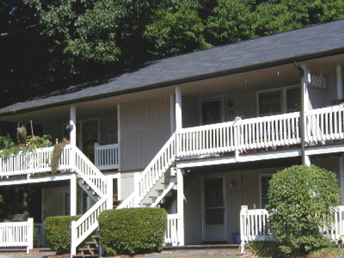 Newmarket Apartment: 10 Maple Street