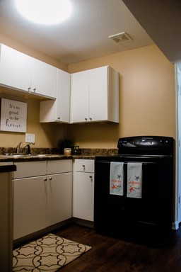 Acorn Apartments--Fully Renovated, Lower Level 2bd/1ba with Free WiFi – photo 1