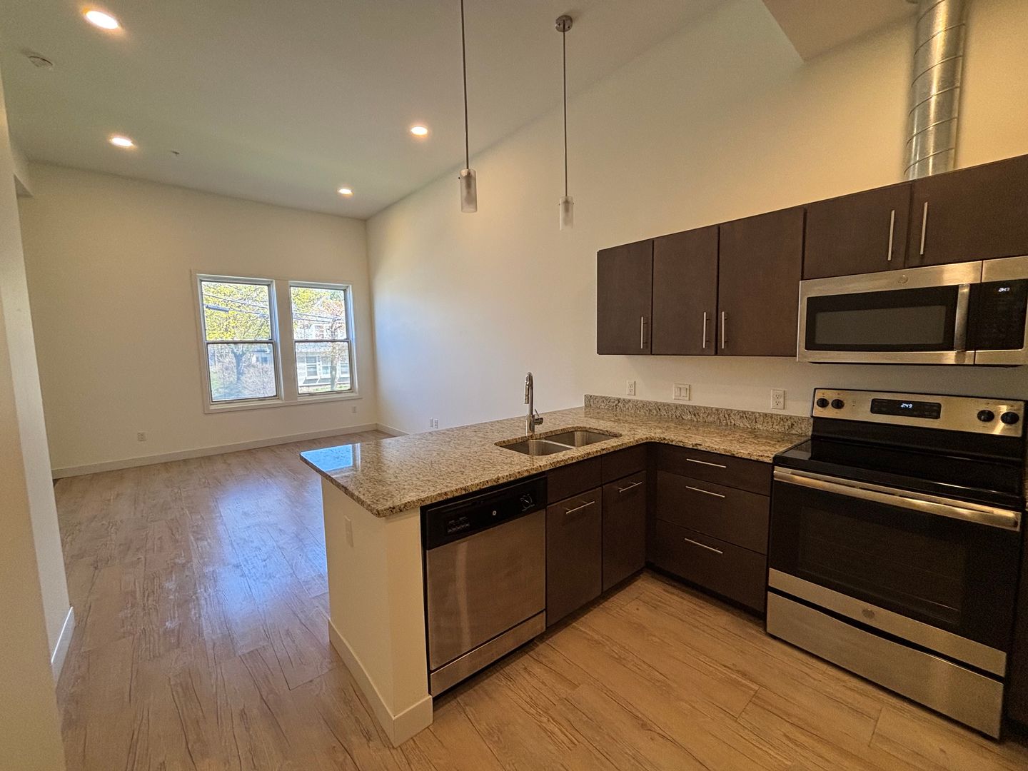 Grand Rapids Apartment: 11 Fuller Ave SE