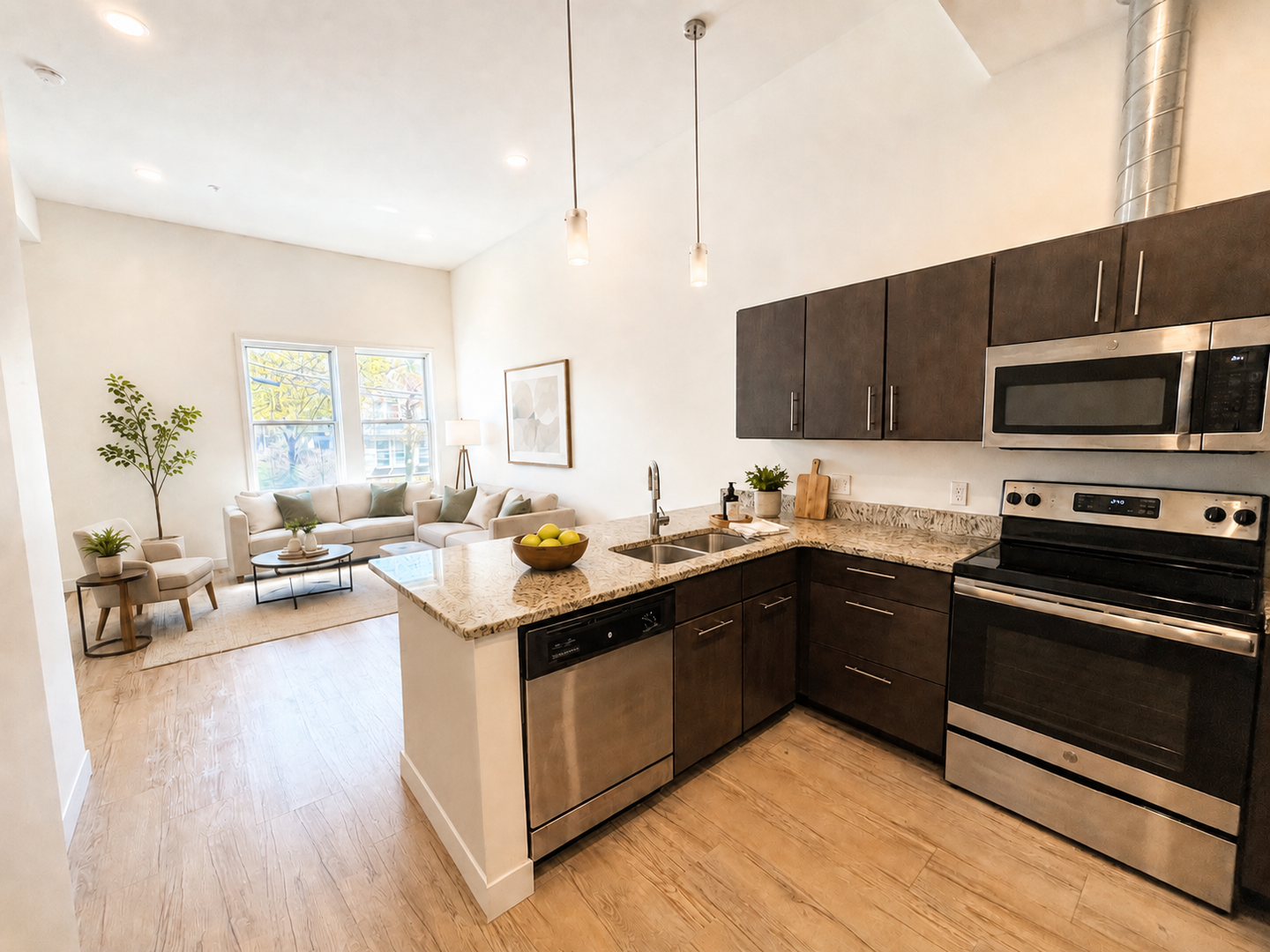 Grand Rapids Apartment: 11 Fuller Ave SE