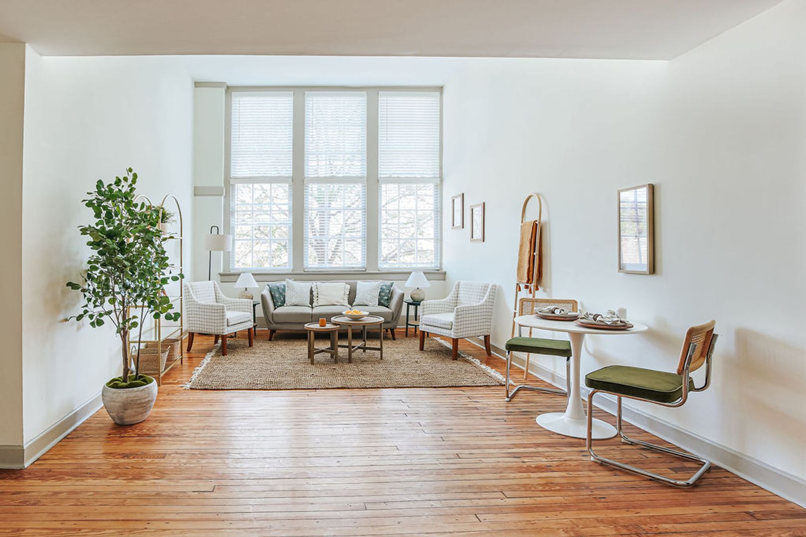 Wilson Apartment: 211 Kenan Street West