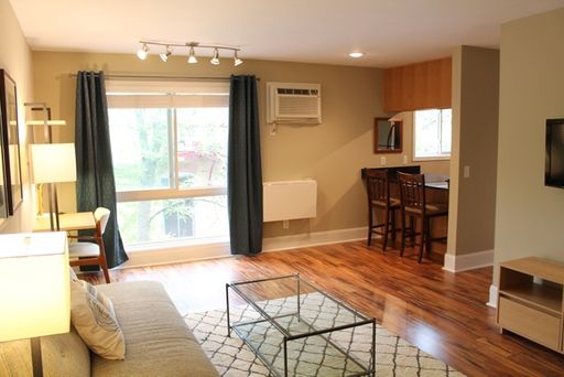 LAKE CALHOUN CONDO FOR RENT – photo 1