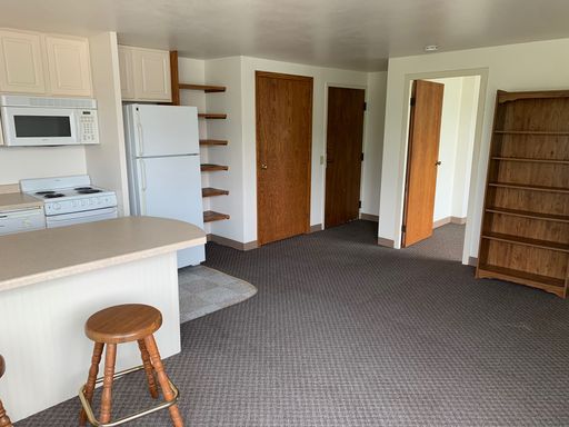 316 N. Butler St. #503 – photo 1