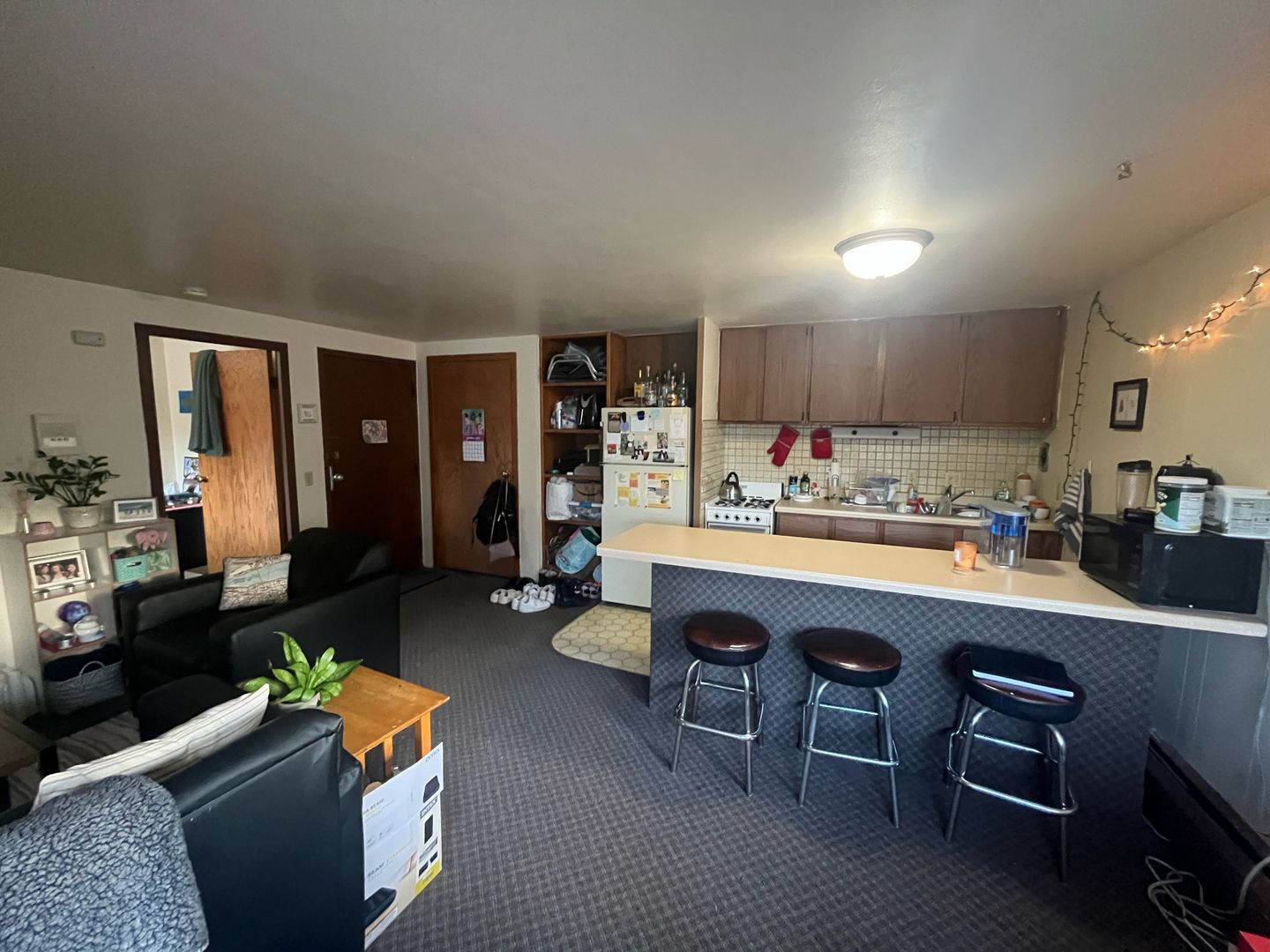 Madison Apartment: 316 N. Butler St.