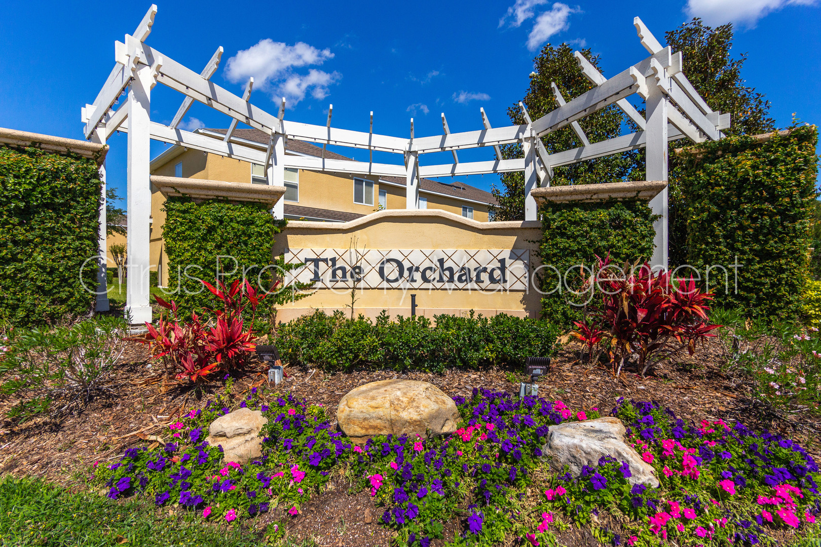 Winter Garden Townhome: 321 Winter Nellis Cir - Winter Nellis